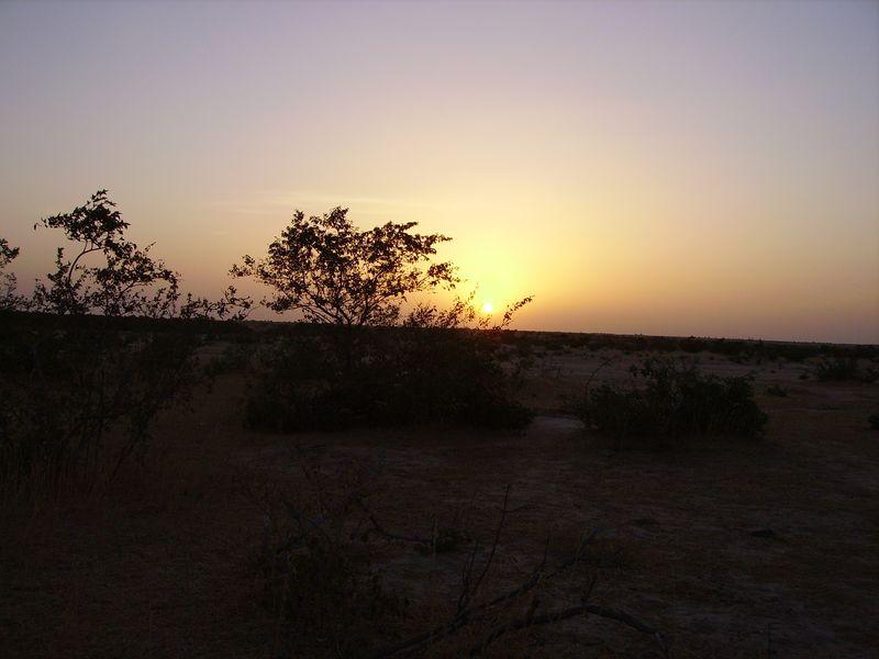 IMGP0335 [800x600]